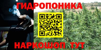 мдпв Гусев