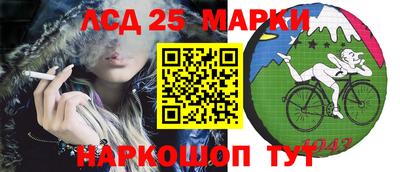 мдпв Гусев