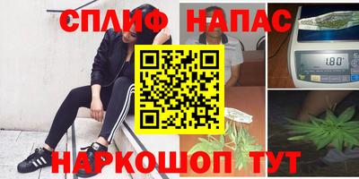 мдпв Гусев