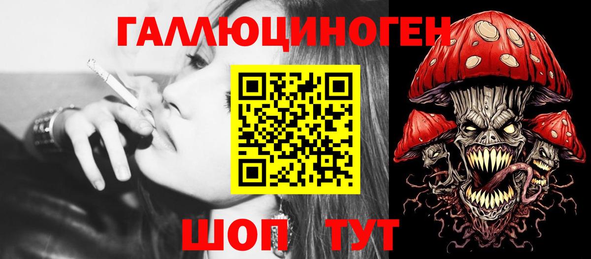 Псилоцибиновые грибы Psilocybe  Вход с VPN  Вятские Поляны 